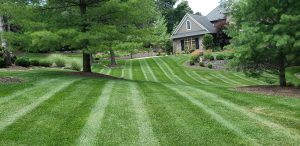 Residential lawn mowed and fertilized by Creekside Turf Management in Marion, Iowa