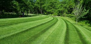 Lawn care, mowing, weed control by Creekside Turf Management