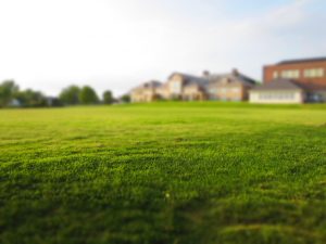 residential lawn