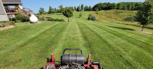 lawn being professionally mowed