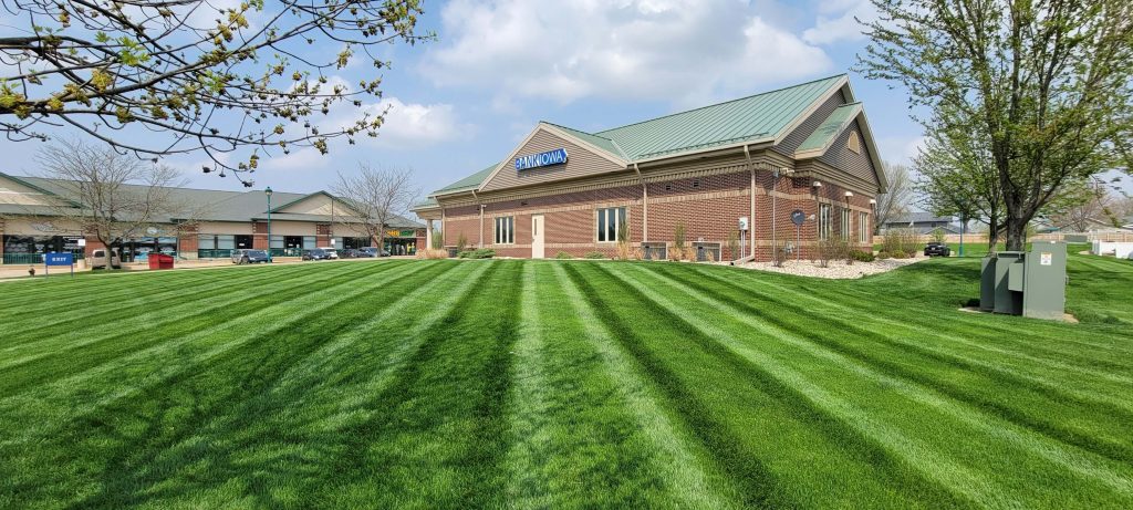 Well manicured commercial lawn in the Cedar Rapids - Marion area