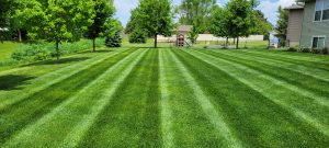 plush, green lawn, freshly mowed