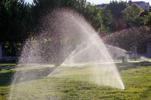 Grass being watered