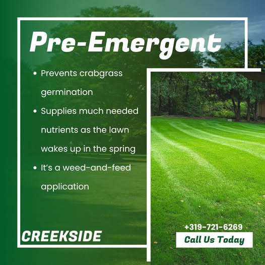 Pre-emergent graphic